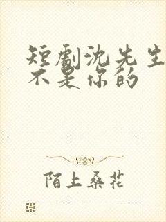 短剧沈先生孩子不是你的