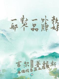 一对一外教口语哪个品牌好