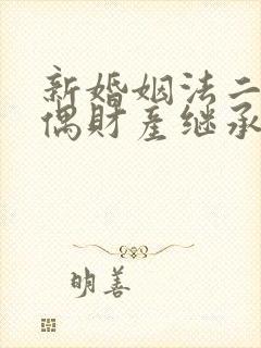 新婚姻法二婚丧偶财产继承