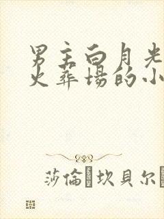 男主白月光追妻火葬场的小说