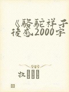 《骆驼祥子》读后感2000字