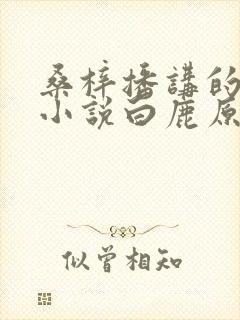 桑梓播讲的有声小说白鹿原