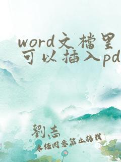 word文档里可以插入pdf文件吗