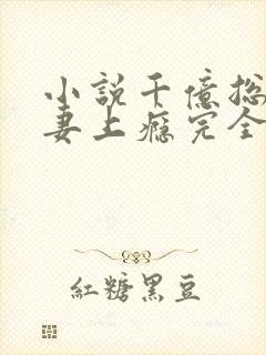 小说千亿总裁宠妻上瘾完全版