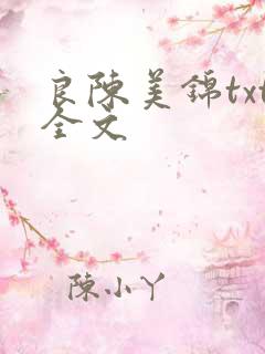 良陈美锦txt全文