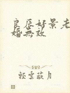 良辰好景老婆离婚无效