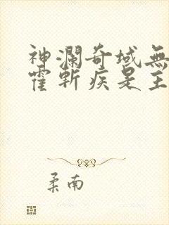 神澜奇域无双珠霍斩疾是主角吗