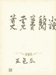 萧子宁的小说全文免费阅读无弹窗