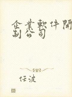 企业软件开发定制公司