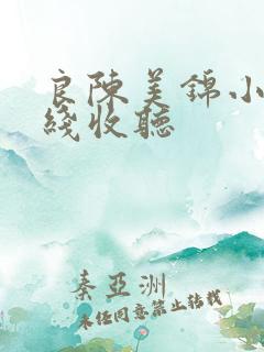 良陈美锦小说在线收听