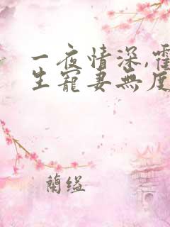 一夜情深,霍先生宠妻无度全文免费阅读