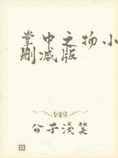 掌中之物小说无删减版