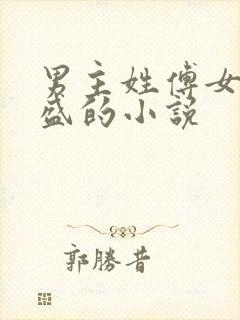 男主姓傅女主姓盛的小说