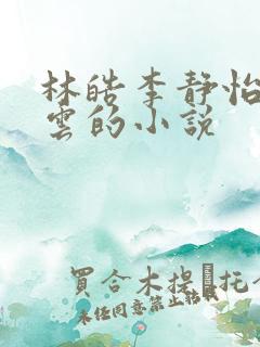 林皓李静怡苏沐云的小说