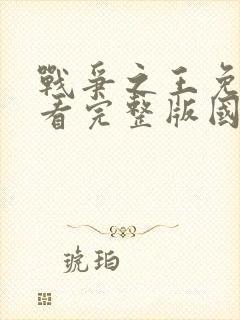 战争之王免费观看完整版国语高清有字幕