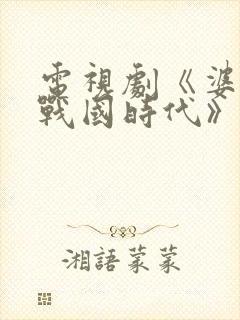 电视剧《婆媳的战国时代》