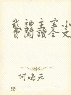 武神主宰小说免费阅读全文无弹窗