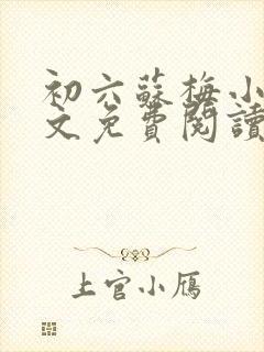 初六苏梅小说全文免费阅读笔趣阁