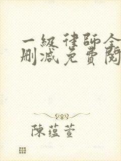 一级律师全文无删减免费阅读