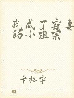 我成了宠妻狂魔的小祖宗