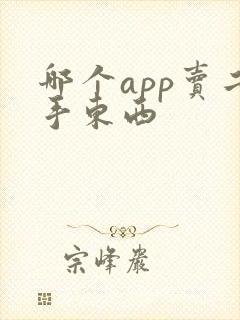 哪个app卖二手东西