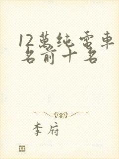 12万纯电车排名前十名