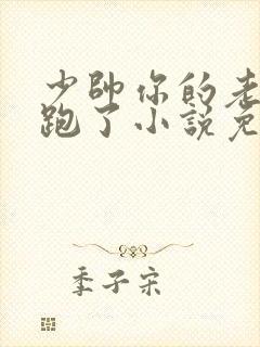 少帅你的老婆又跑了小说免费阅读