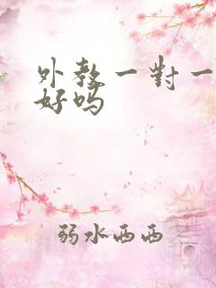 外教一对一在线好吗