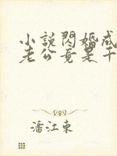 小说闪婚成宠,老公竟是千亿大佬