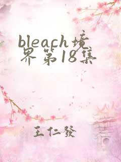 bleach境界第18集