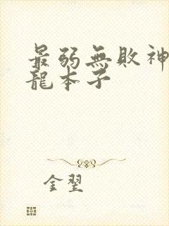 最弱无败神装机龙本子