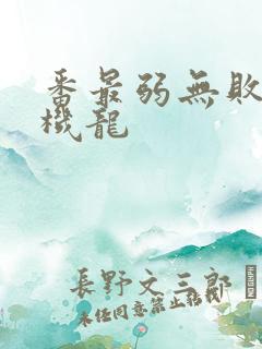 番最弱无败神装机龙