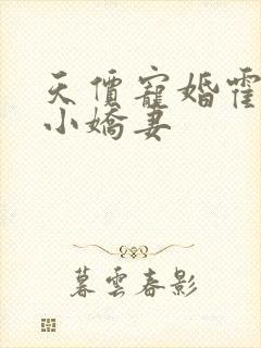 天价宠婚霍总是小娇妻