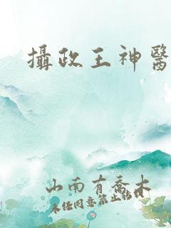 摄政王神医毒妃