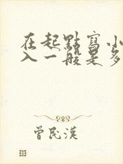 在起点写小说收入一般是多少