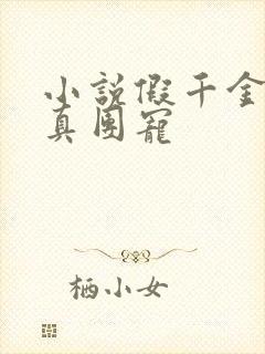 小说假千金才是真团宠