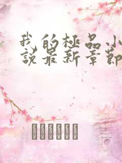 我的极品小姨小说最新章节下载