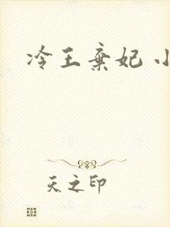 冷王弃妃 小说