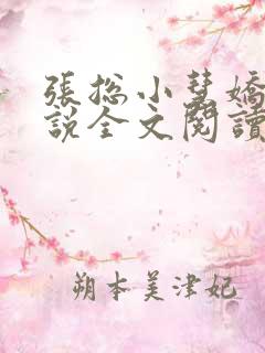 张总小慧娇妻小说全文阅读