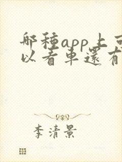 哪种app上可以看车还有报价