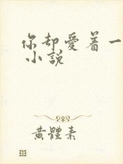 你却爱着一个他 小说