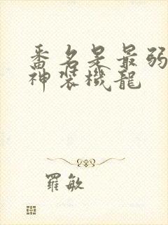 番名是最弱无败神装机龙