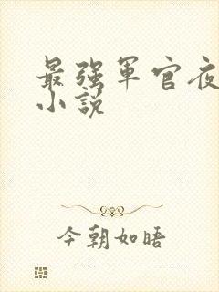 最强军官夜夜宠小说
