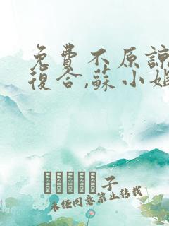 免费不原谅,不复合,苏小姐独美小说