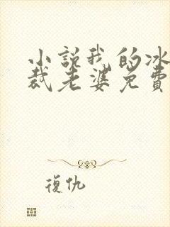 小说我的冰山总裁老婆免费阅读