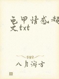 龟甲情感超市全文txt