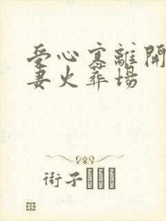 受心寒离开攻追妻火葬场