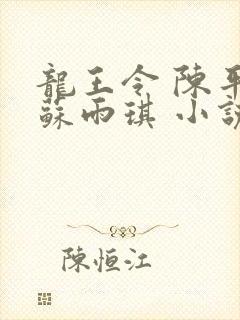 龙王令 陈平,苏雨琪 小说