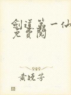 剑道第一仙苏奕免费阅