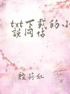 txt下载的小说网站